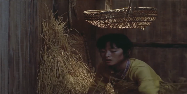 菊豆电影最后结果，竟与侄子相恋还生下一子