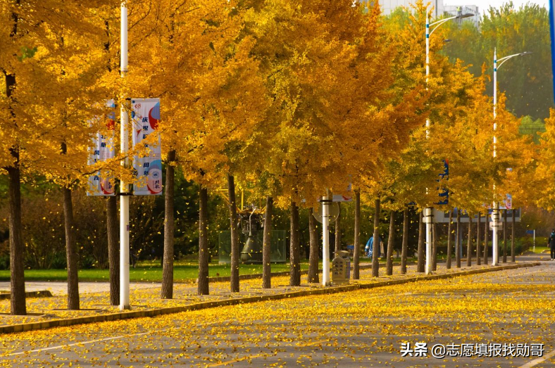 国防七子实力排名(国防科技大学为什么不是国防七子)