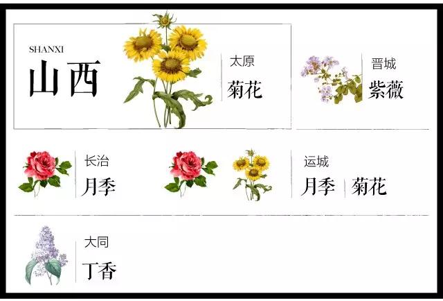 城市的市花有哪些花，关于全国各城市市花及意义