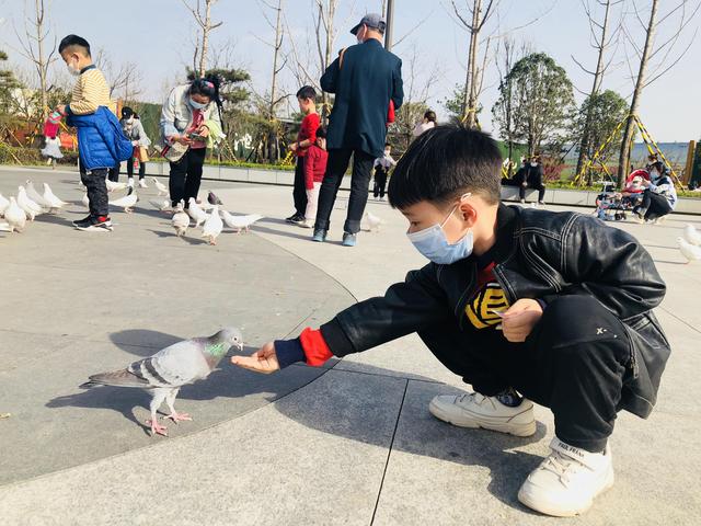 西安昆明池要门票吗，西安昆明池要门票吗（这个免费景点却是亲子好去处）