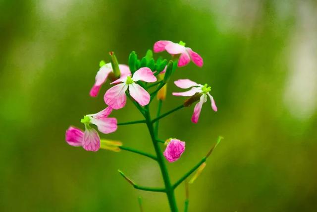 表达母爱的诗句,赞美母亲的诗句古诗(母亲节,10首诗词读懂母爱) 表达母爱的诗句,赞美母亲的诗句古诗(母亲节,10首诗词读懂母爱)