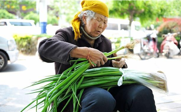 阳气最强的树是什么树 有哪些种类，阳气最强的树是什么树（老祖宗忠告：“门前种三树）