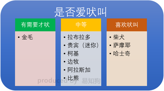 常见犬类品种大全，犬分类品种大全（国内十大流行犬种横向对比）