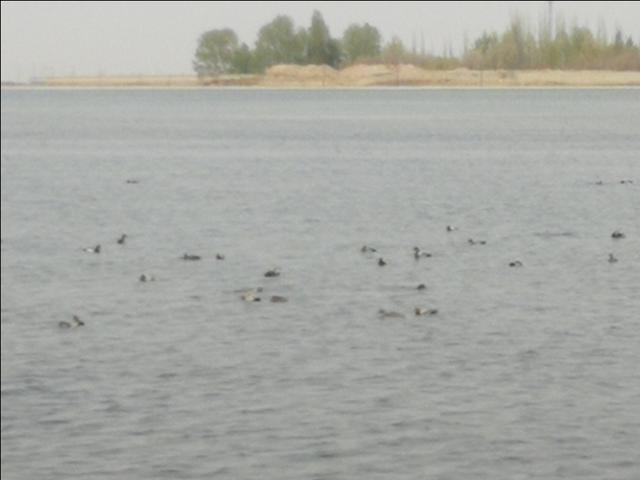 格尔木市海拔多少米，格尔木海拔高度是多少米（格尔木翻天覆地的变化）