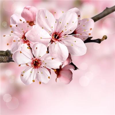 治愈风景图头像微信，治愈风景图头像（风景蓝天草地微信头像）