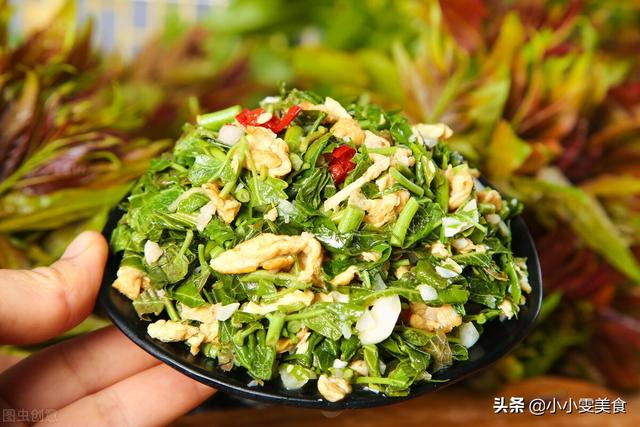 吃香椿的禁忌吃香椿要注意 吃香椿的禁忌介绍，吃香椿的禁忌吃香椿要注意（吃香椿时有“3忌”）