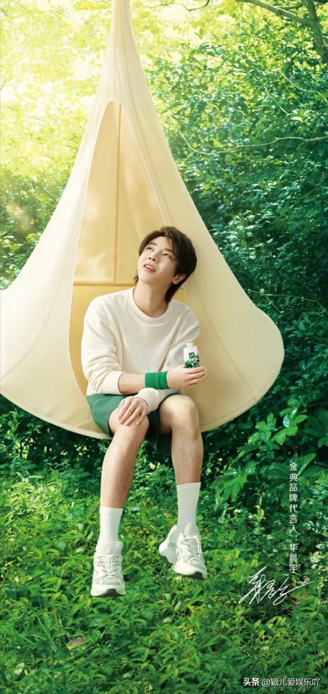 华晨宇粉丝为什么叫黑煤球,华晨宇的粉丝为什么叫黑煤球(粉丝统计经典