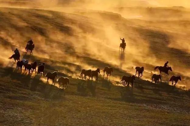 秦时明月汉时关万里长征人未还，秦时明月汉时关万里长征人未还什么意思（王昌龄很冷门的一首诗）