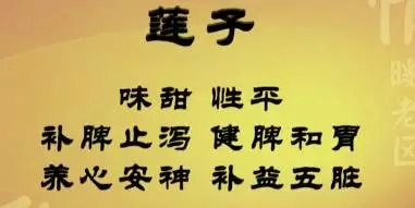 大红豆的功效与作用，控血脂、健脾胃、祛湿气……错过太可惜