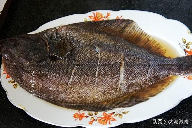 碟魚是什麼魚,碟魚是什麼魚圖片(鰈魚最美味的做法)