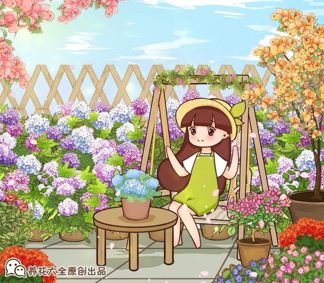 绣球花怎么养，花球又大又鲜艳（绣球花怎么养才能开花）