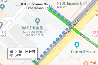 新加坡旅游多少钱(如何移民新加坡)