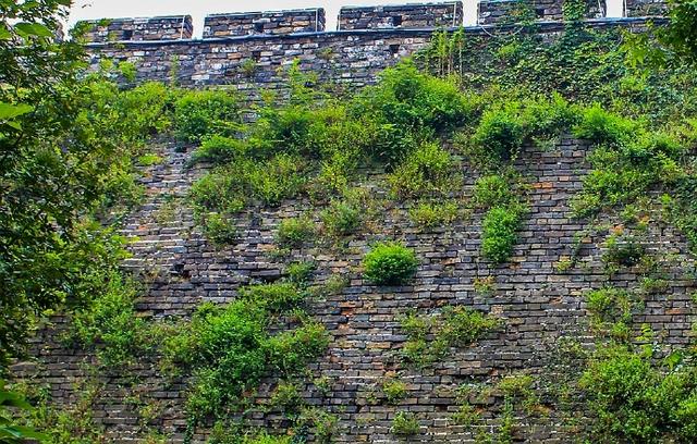 南京玄武湖有几个门，南京玄武湖有什么（如今游人如织的玄武湖）