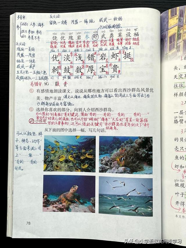 饶怎么读，铙怎么读什么意思（小学语文三年级上册第18课《富饶的西沙群岛》教师笔记）