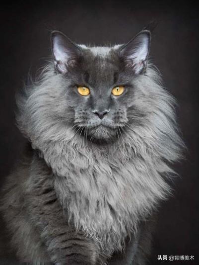 立体图形素描怎么画，图形素描（详细教程步骤送给你）