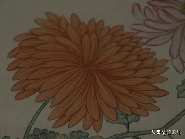 葩的读音（葩怎么读，葩是什么意思（金佛座、搓粉妆、绶带紫、鹤头丹）