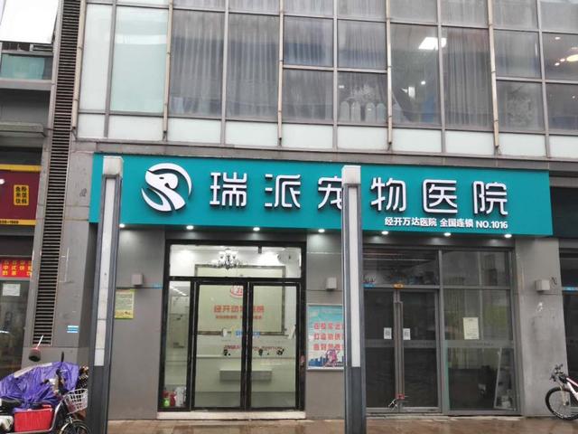 哈尔滨宠物医院，十大哈尔滨宠物医院排名（瑞派宠物医院告诉你最牛医院的正确打开方式）