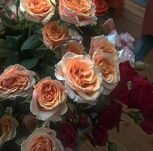 ins背景图，ins背景图简约（惊艳访客的ins风小众背景图）