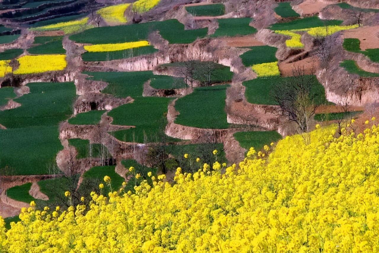 洛阳户外（洛阳这个地方藏着个世外桃源）