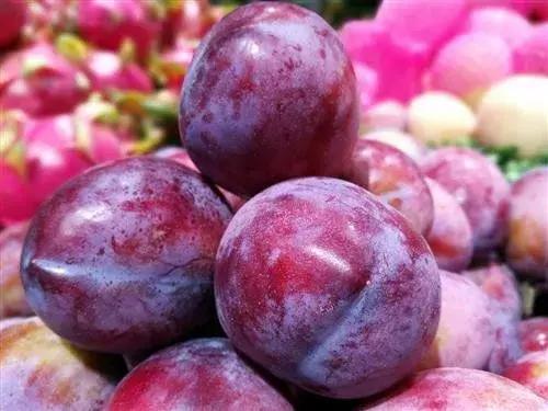 智利西梅是不是青色的,智利西梅有几个品种(怎样才能挑选到好的西梅) 智利西梅是不是青色的,智利西梅有几个品种(怎样才能挑选到好的西梅)