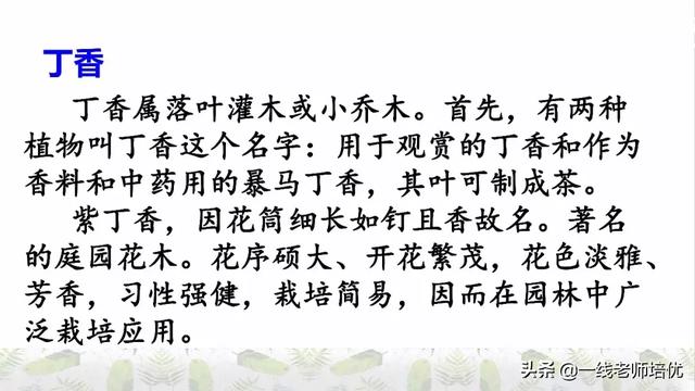 平淡无味的意思，清淡无味的意思（部编版六年级上册第2课《丁香结》重点知识点+图文解读）