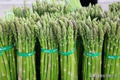 种植什么赚钱(投资1000元养殖)
