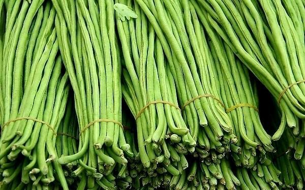 豇豆和豆角的区别，豇豆和豆角的区别