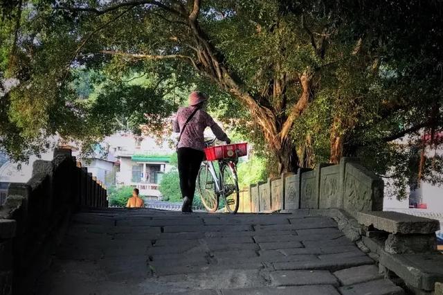 岭南水乡地理位置，岭南水乡地理位置地图（这几个广州，太好逛了！）