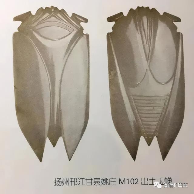 玉蝉活人能戴吗，玉蝉活人能戴吗有讲究吗（至今仍是一个不可忽略的玉雕经典）