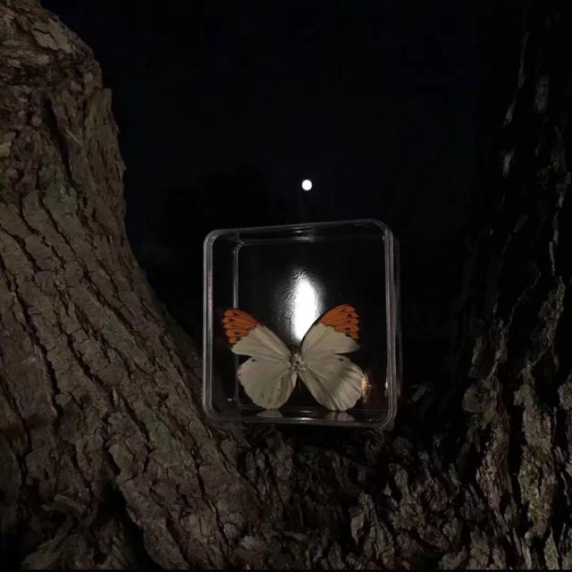 黑色系背景图，简约黑色系背景图（黑色系背景图）