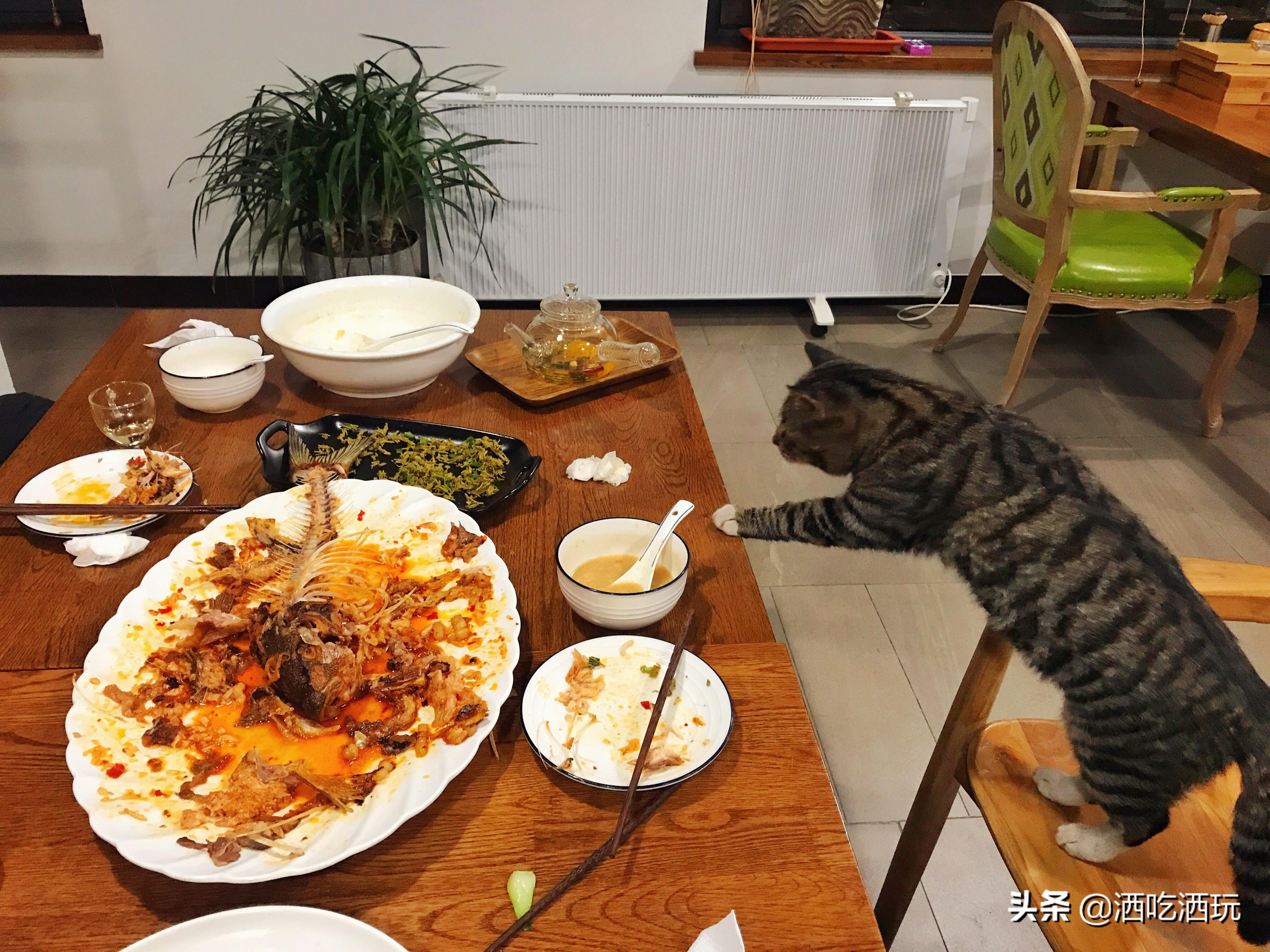 北京顺景温泉门票(北京周边泡温泉的好地方) - 悦闻天下