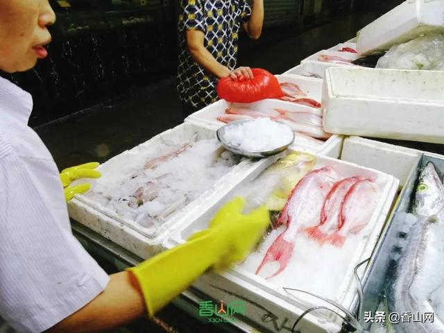 珠海哪里吃海鲜好，珠海什么地方吃海鲜最好（一定要逛这几个海鲜市场）