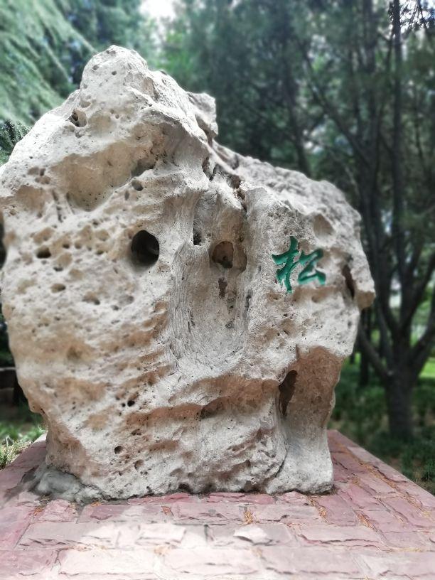 太阳地球月亮运行图，地球月球运动轨迹图（公园虽小，历史文化元素不少）