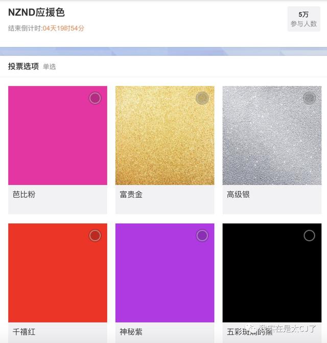 vocal担当是什么意思，vocal担当（NZND为什么可以成为宇宙级男团）