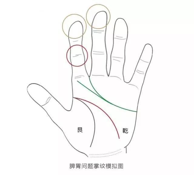 怎么才能看懂手相，教你怎样看手相（你有被“老神仙”看过吗）