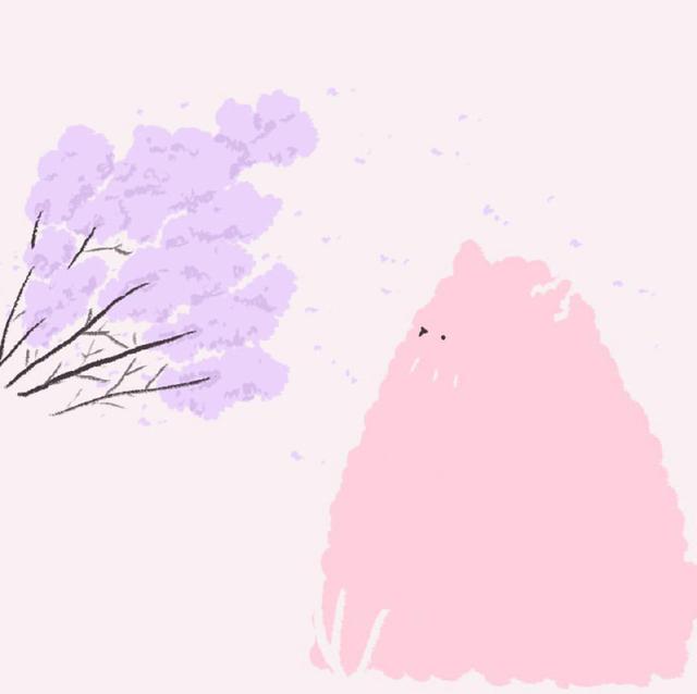 随便沫：可爱粉红猫，微信头像，随便沫：可爱粉红猫（好可爱的说）