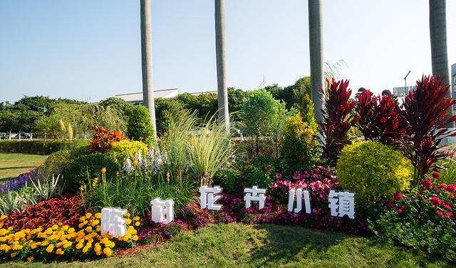顺德陈村在哪里，顺德陈村在哪里可以检查核（广东佛山顺德区面积最小的镇）