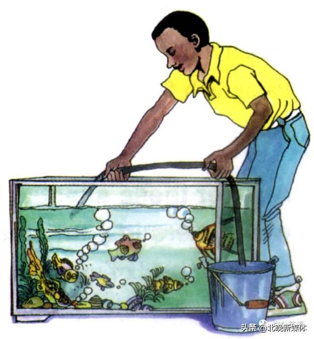 sally什么意思，Sally人名是什么意思（随身课本送给大家人教版英语选修七Unit）