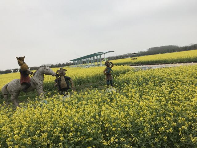兰陵国家农业公园，兰陵国家农业公园游玩攻略（兰陵国家农业公园门票多少钱）