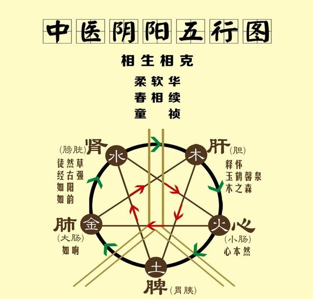 五行相生的顺序，五行相生顺序（中医五行的相生相克）