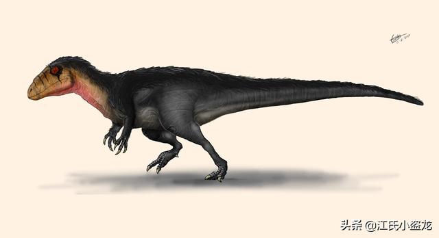 re网名的含义，Re微信昵称（2020古生物学家到底命名了多少种恐龙）