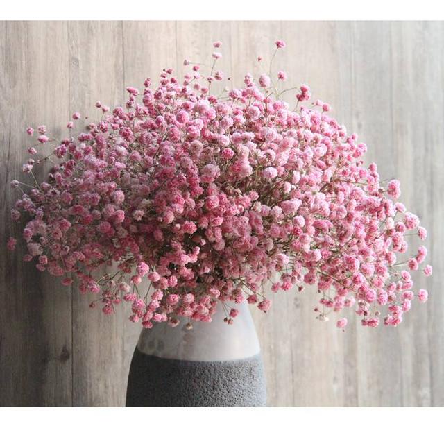 铃兰花的花语，从此买花送人不出错（铃兰花的花语与寓意）