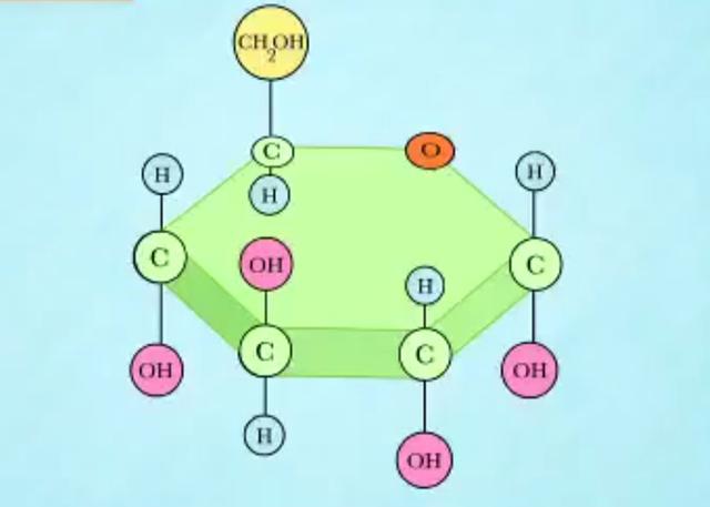 糖是碳水化合物吗，食物中的碳水化合物就是糖吗（所以我们被称为碳水化合物）