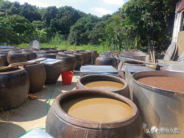 潮汕酱油豆的制作方法，潮汕酱油豆的制作方法和步骤（普宁这种酱油你打过吗）