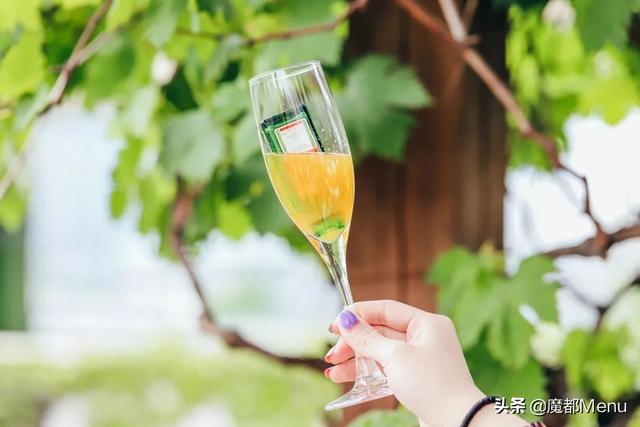 野格什么味道，百威加野格什么味道（人间不值得，教你喝野格）