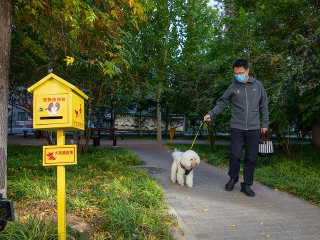 什么是文明鹭港，什么是文明鹭港校园（北京的文明鹭港体现在哪）