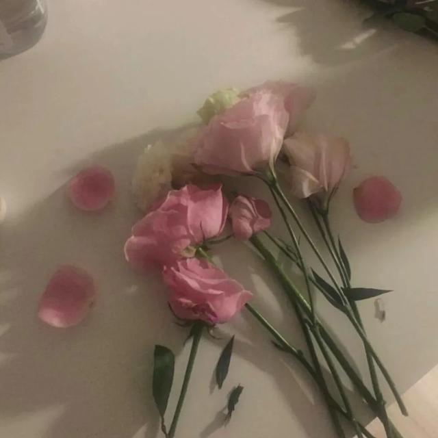 女生叫池鱼是什么意思，池鱼微信昵称（特辑：文艺网名）