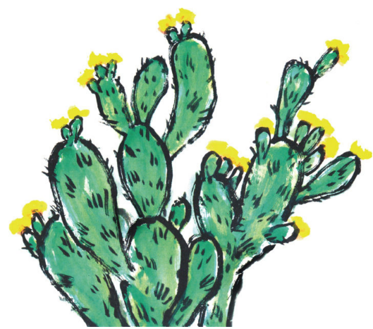 画仙人掌注意什么，画仙人掌步骤（仙人掌、牵牛花的基础画法）