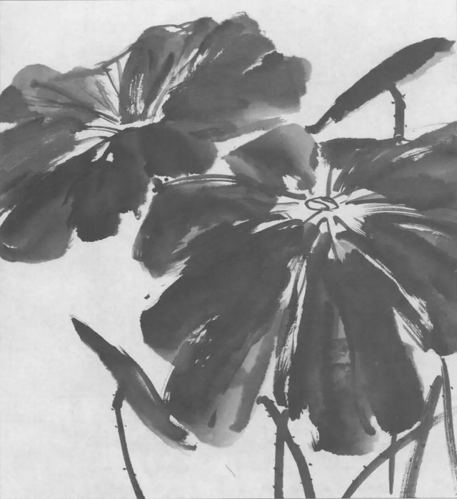 水墨画初学者入门教程，水墨画入门教程（图文教程：画水墨荷花）