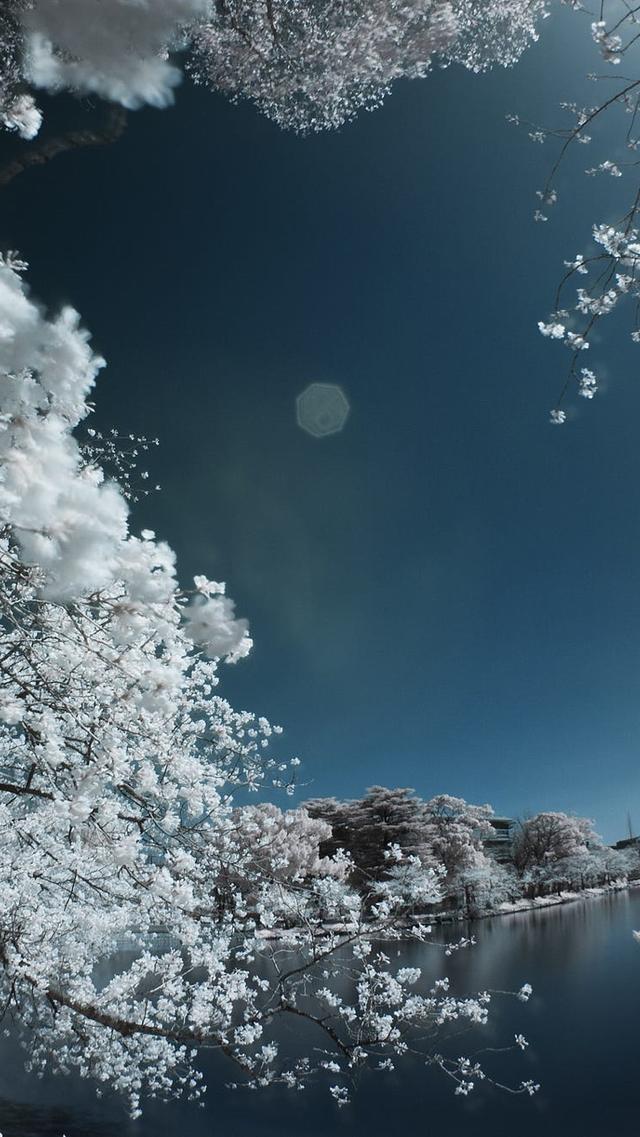 风景图片手机壁纸，超美风景手机壁纸高清（唯美手机锁屏风景壁纸）
